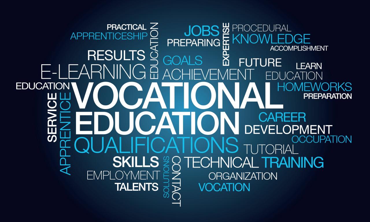 Vocational classes breadth career enrollment earnings curriculum continuum academic